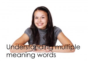 Multiple meaning words