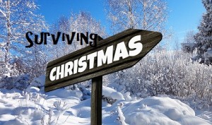 Surviving Christmas! by Elizabeth